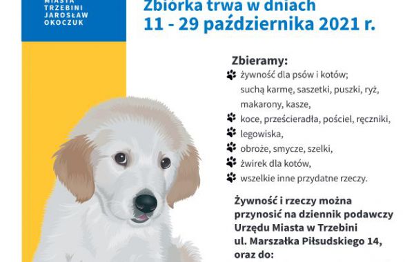 Plakat promujący zbiórkę żywności i rzeczy dla schroniska dla bezdomnych zwierząt w Bolesławiu