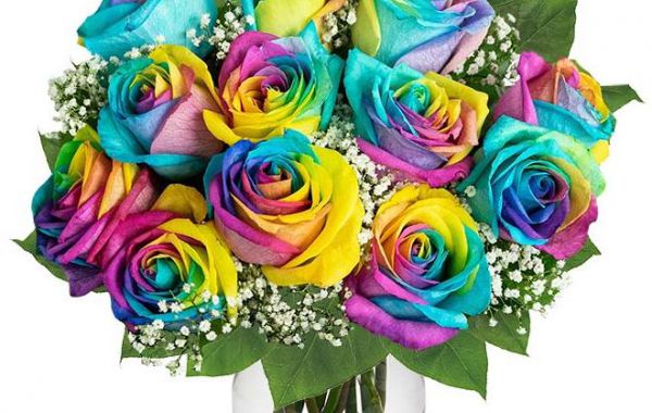 Bukiet kolorowych róż w wazonie
